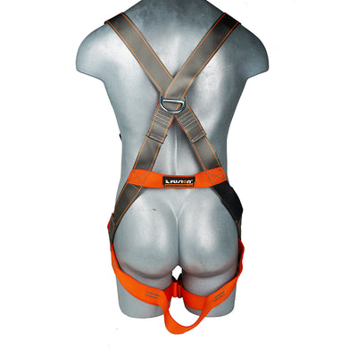 Full Body Harness – AVENTA with Pass Through Release Buckle with D-Ring