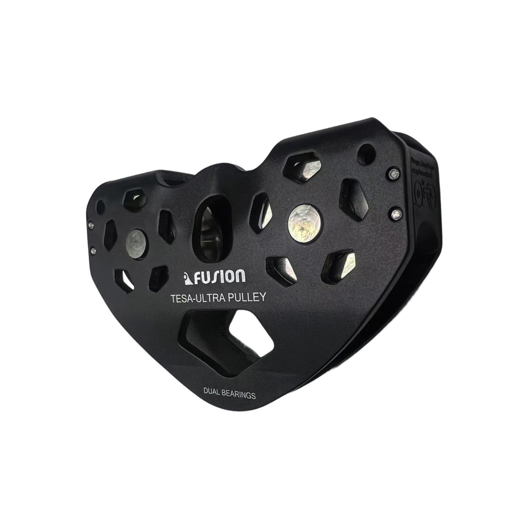 Tesa Speed Pulley Dual Bearing – Fusion Climb