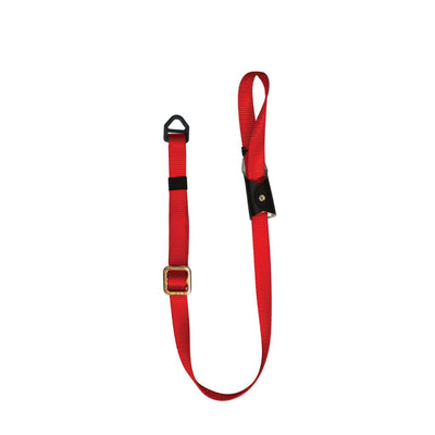 Adjustable anchor strap with tether loop and delta ring
