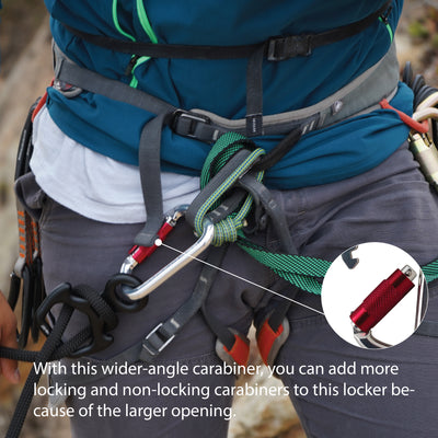 Swift High Strength - Auto Locking Carabiner - Sliver